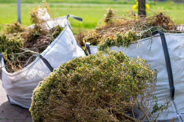 Best Junk Removal Near Me  in Lemont Furnace, PA