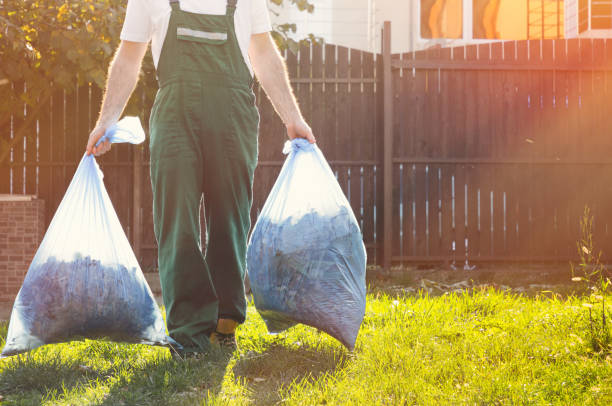Best Household Junk Removal  in Lemont Furnace, PA